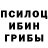 Псилоцибиновые грибы GOLDEN TEACHER Molly Lashley